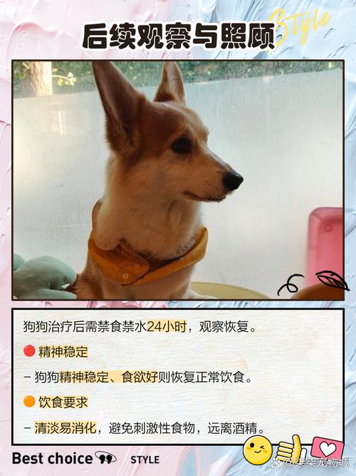 狗喝了白酒会怎么样?