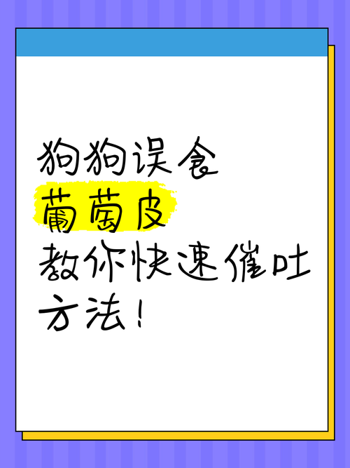 狗吃了葡萄皮怎么办