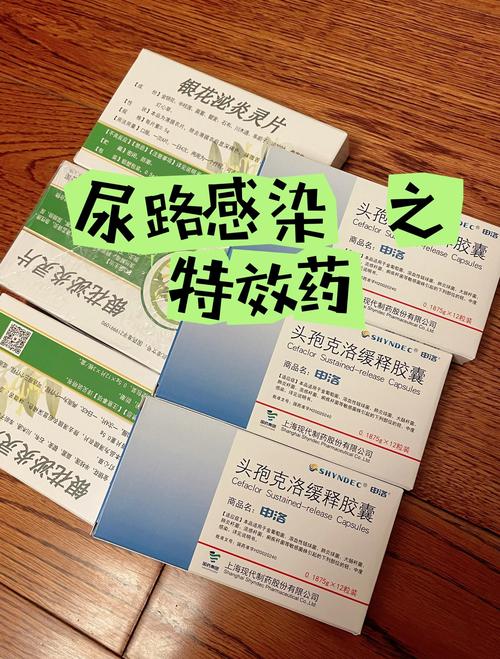 狗尿路感染吃什么药