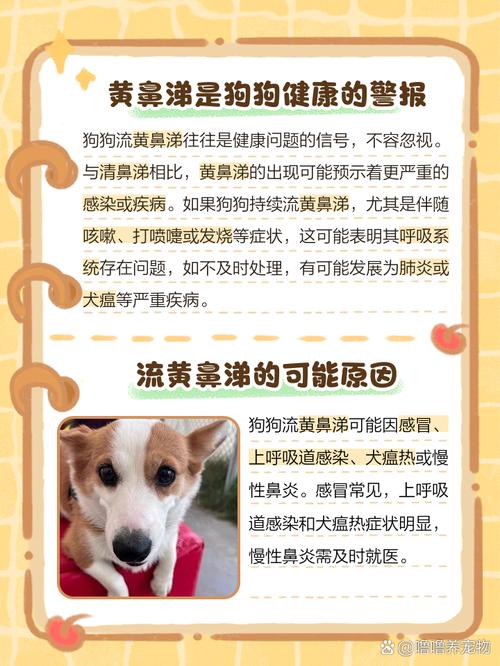 狗狗感冒了会自己好吗