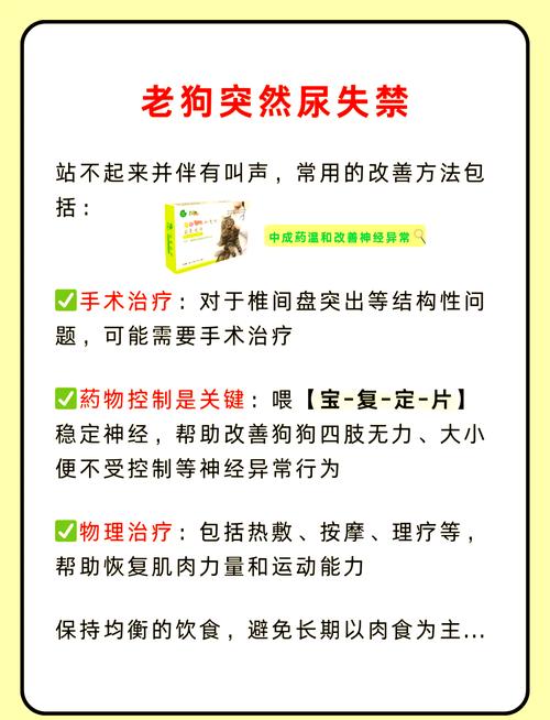 狗突然尿失禁正常吗怎么治疗