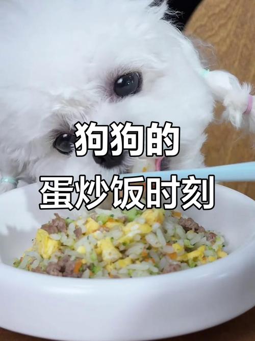 狗狗可以吃大米饭炒鸡蛋吗