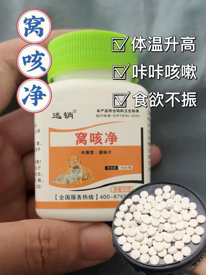 小狗感冒了怎么处理