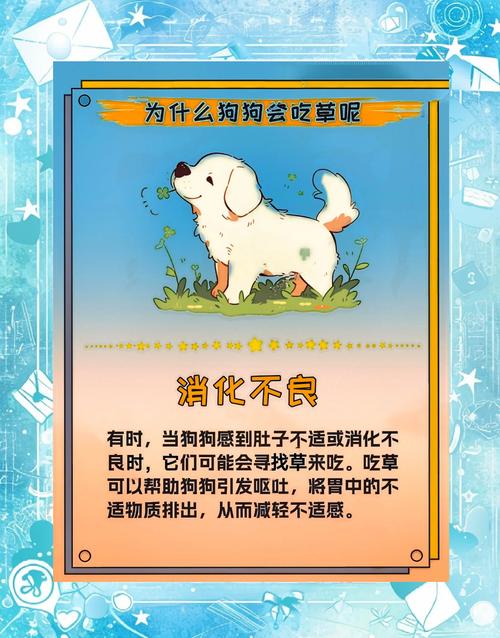 狗狗为什么吃甘草