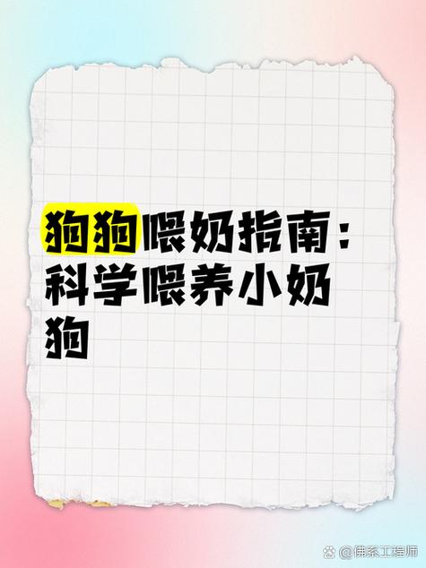 我家的狗狗刚20天吃什么好