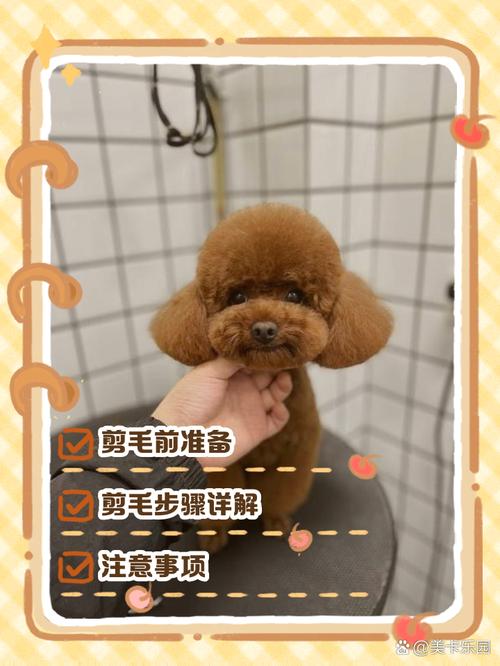 冬天可以给狗狗剃毛吗