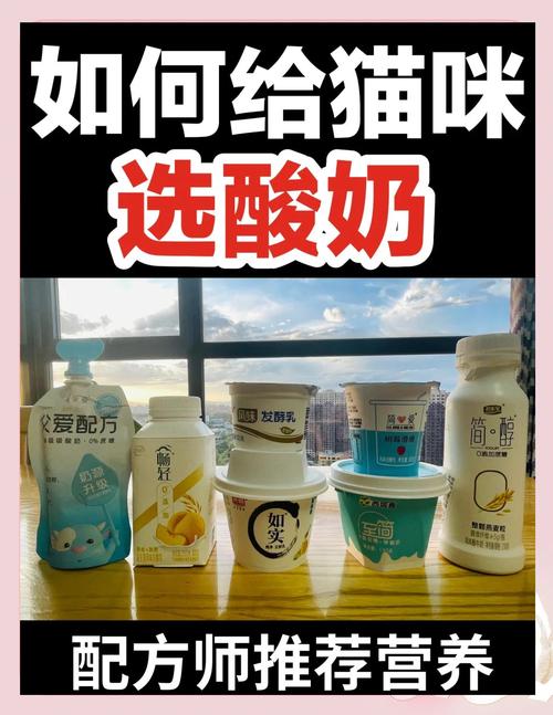 请问猫可以喝酸奶嘛,不要担心猫可以喝酸奶