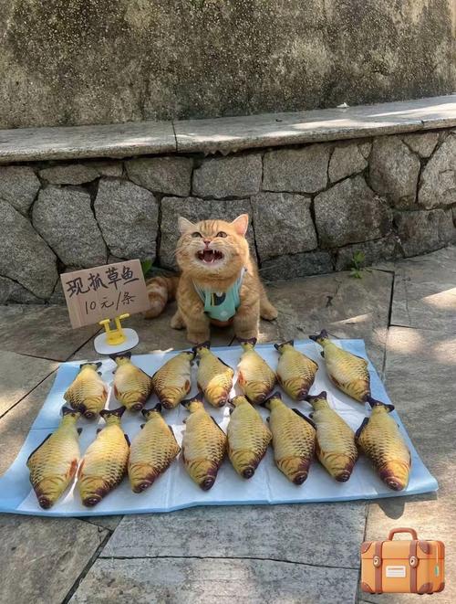 人吃剩下的鱼能给宠物猫吃吗?