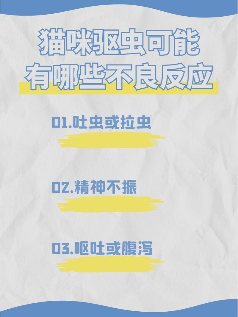 猫咪为什么会拍肚子放屁