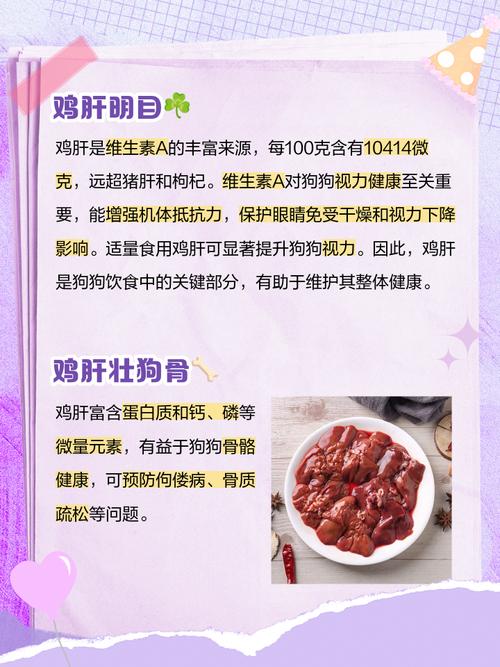 四个月的狗狗能吃鸡肝