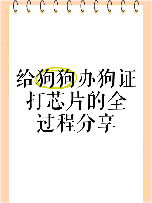 办狗证会不会后悔