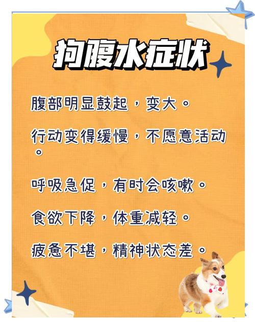 狗狗如果有腹水会自己好吗?