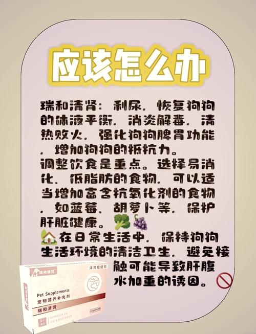 狗狗肝腹水能治好吗