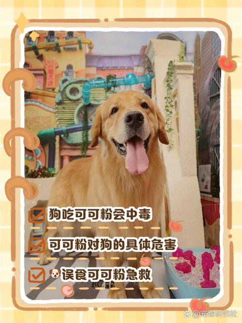 狗吃了可可粉怎么补救