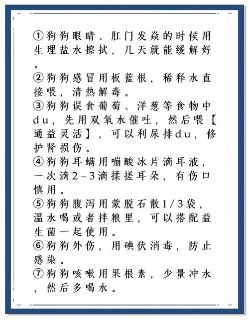 狗狗如果感冒了怎么办