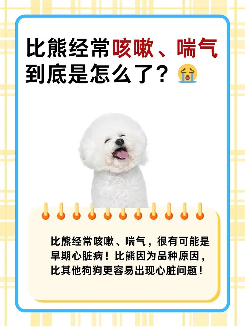 狗狗感冒咳嗽一直没有好转该怎么办啊