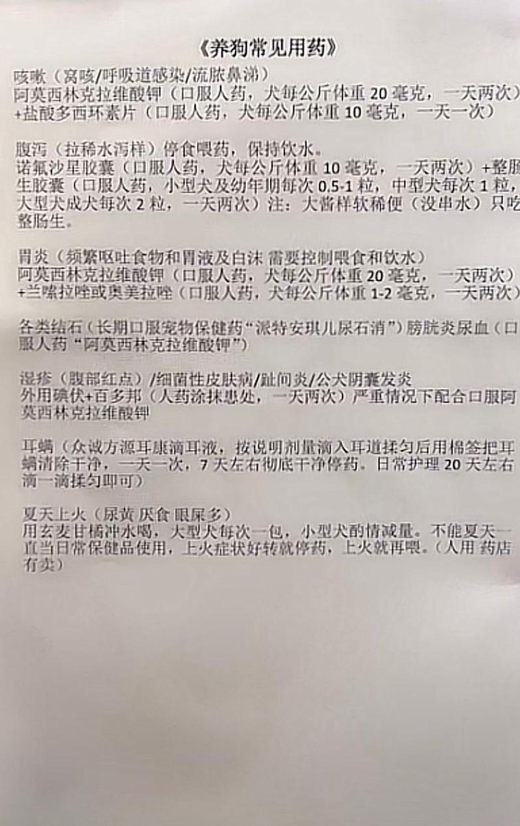 小狗狗吃阿莫西林一次吃多少啊?