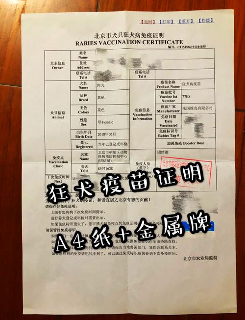 狗可不可以带上动车