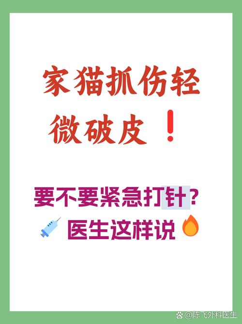 猫抓了一下出了点血要打疫苗吗?