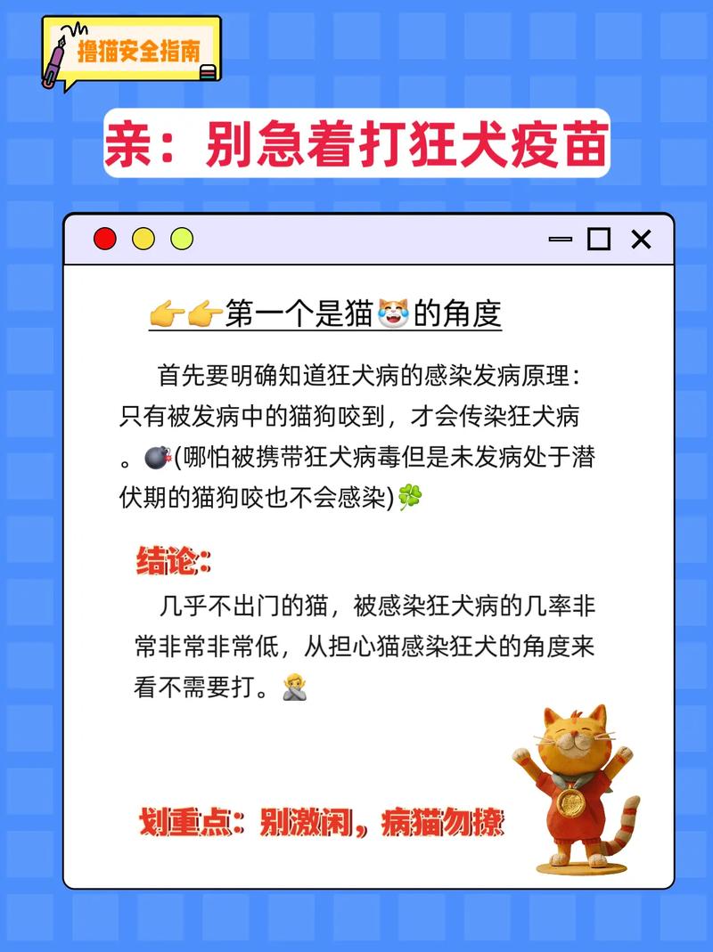 被猫抓伤七天观察法