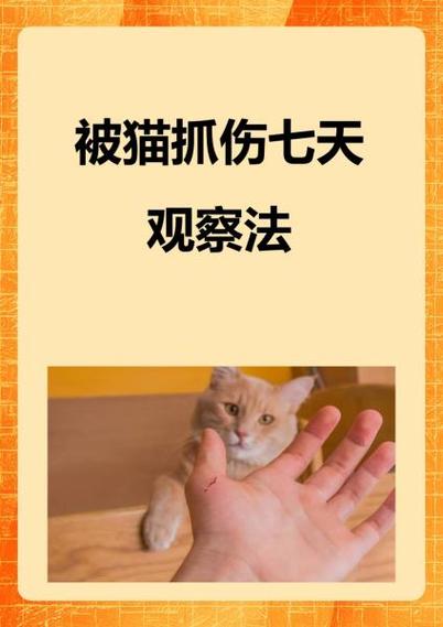 被猫抓伤了要打疫苗吗
