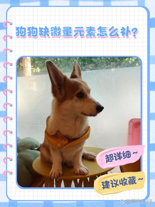 狗狗缺微量元素,狗狗缺微量元素怎么补