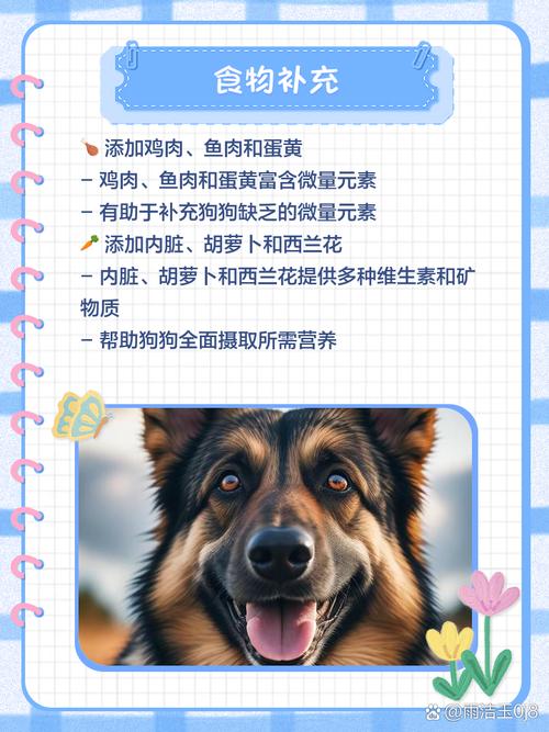 狗缺微量元素吃什么