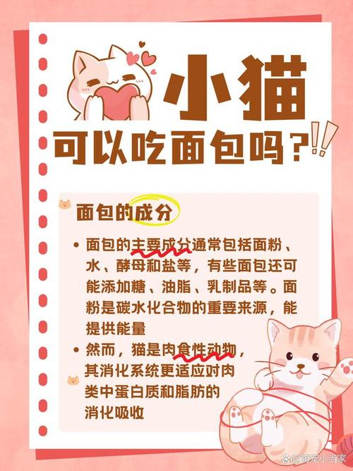 猫吃面包有危害吗?