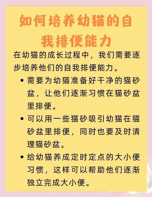 猫咪几个小时拉一次尿,小猫多大可以自主排便排尿