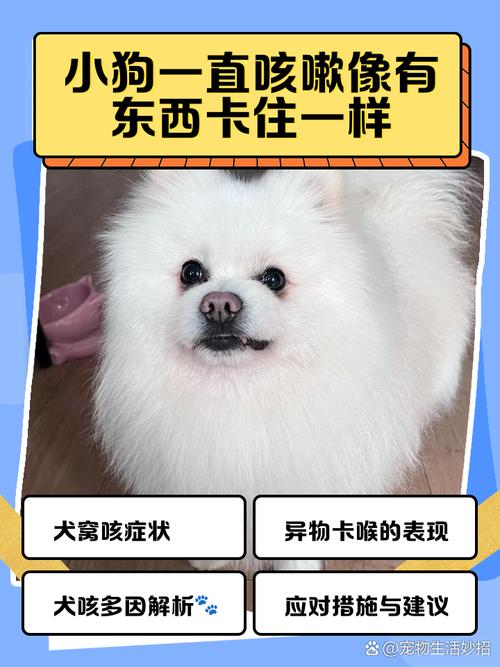 狗狗干咳喉咙卡东西似的怎么回事