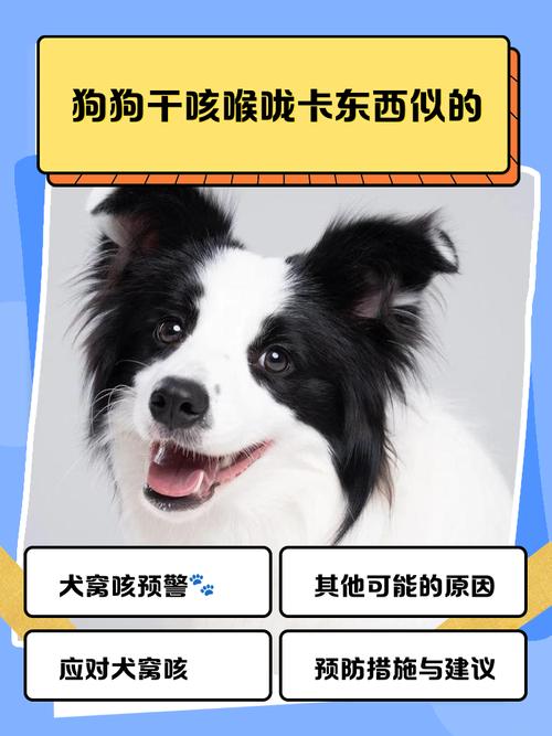 狗狗晚上咳嗽干呕发出咔咔咔的声音怎么回事?