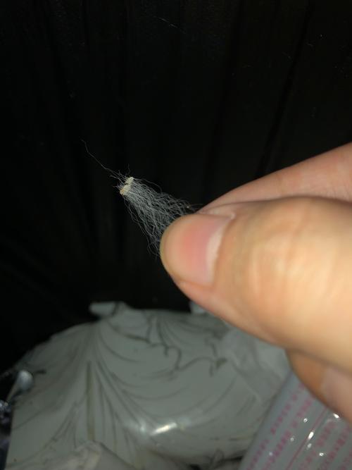 猫咪身上有黑色像煤渣