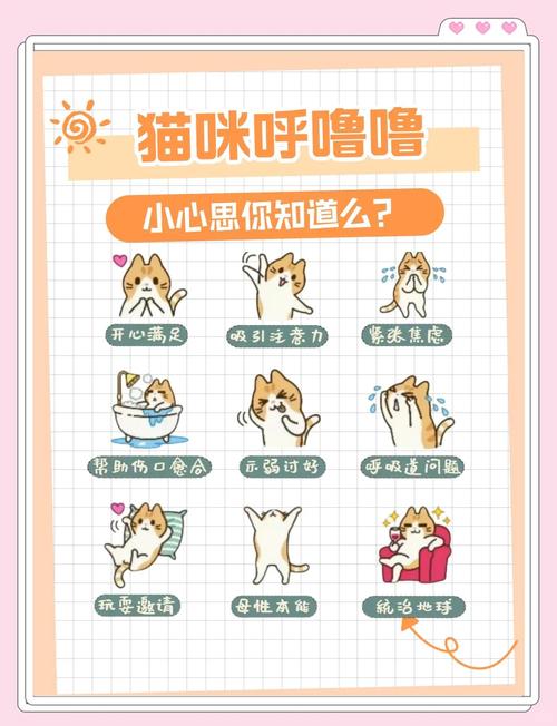 猫咪为什么经常发出呼噜声,除了喜欢你还有别的原因,可能是生病了!