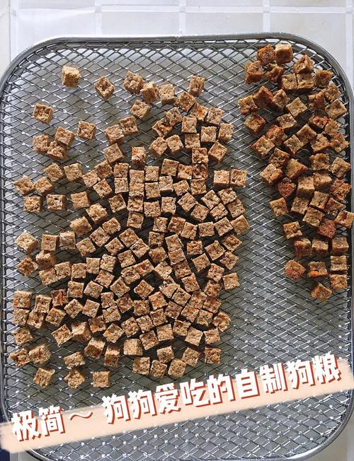 告别营养不均衡!狗狗所需营养素一览