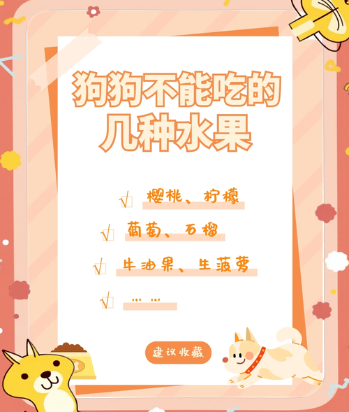 狗狗主食罐头应该怎么选取?可以推荐几种品质高又不贵的嘛?