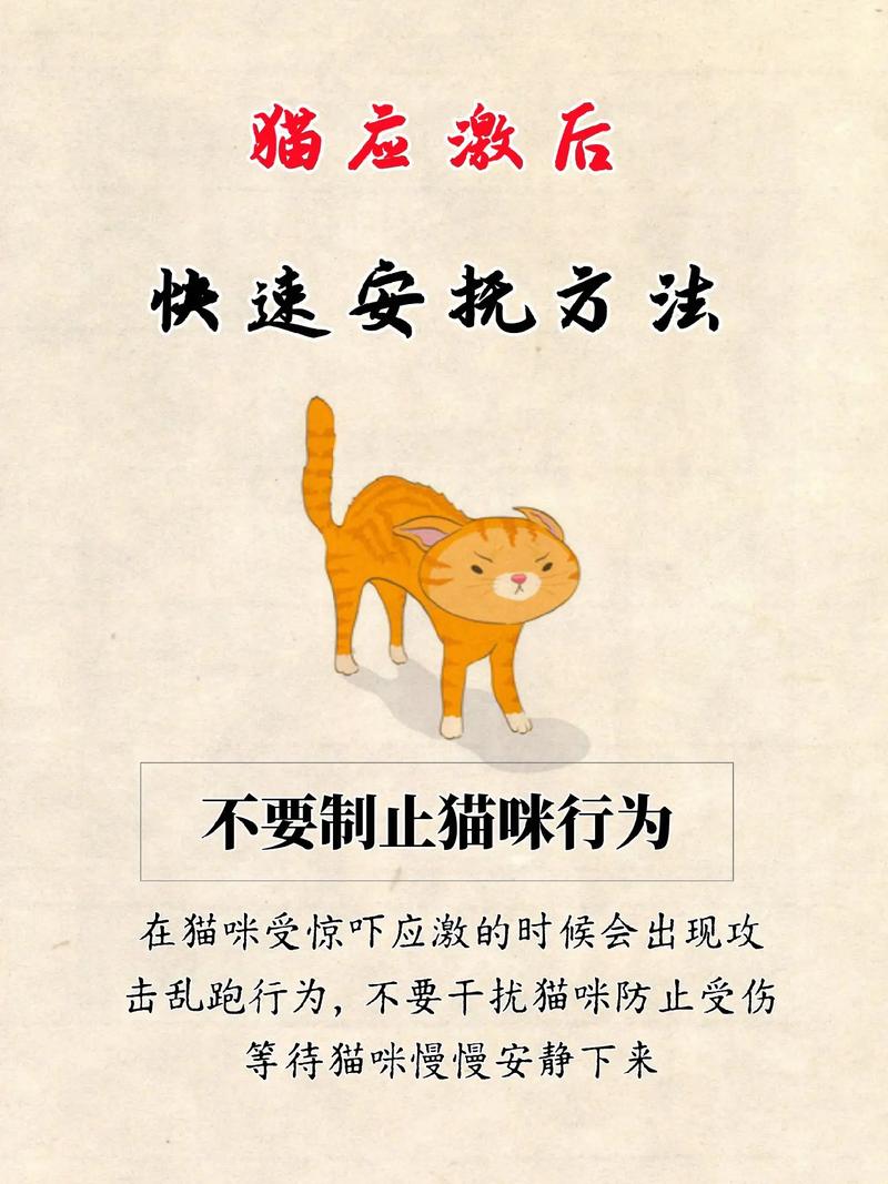 猫咪应激反应的表现