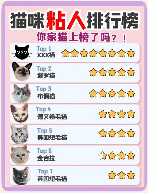 猫咪粘人排名榜,第一名竟然是TA?
