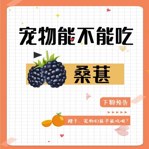 狗狗能吃桑葚吗