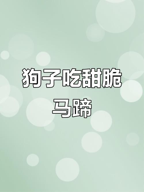 狗狗可以吃马蹄吗