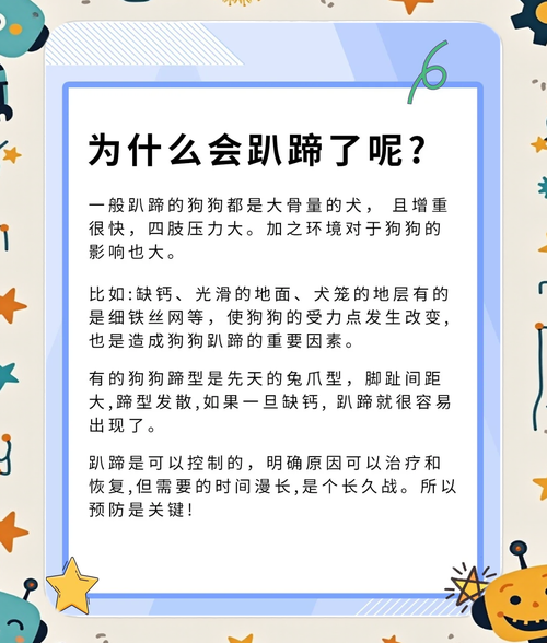 马蹄狗狗能吃吗