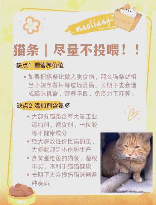一个月大的猫吃什么
