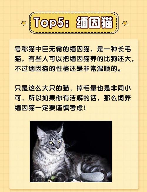 养了一年多的猫咪,家里到处都是毛,还有味道,有点不想养了怎么办?