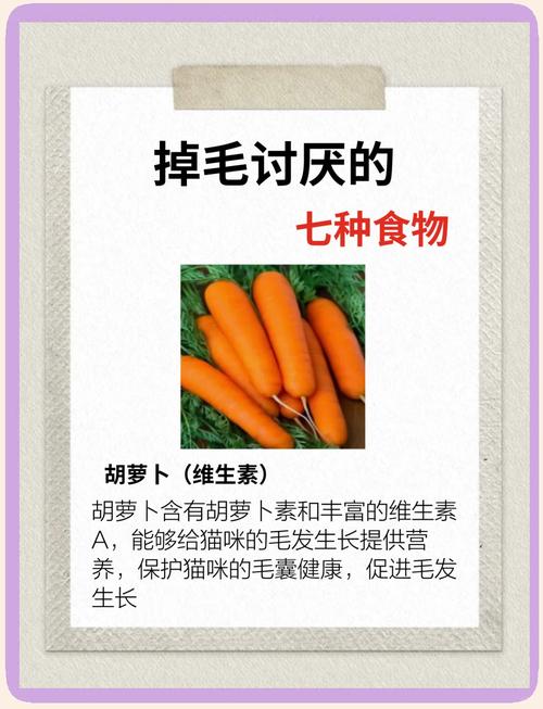 猫一块皮肤脱毛露白肉