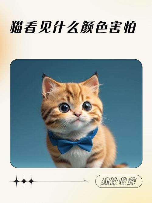 猫咪害怕什么颜色