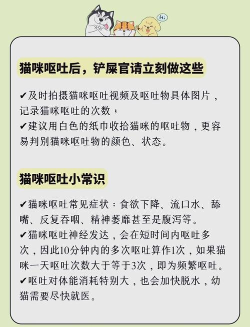 猫吐了一堆土黄色的东西怎么办?