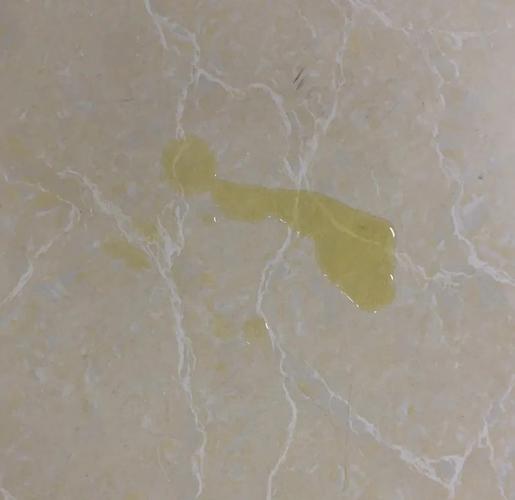 我家猫咪呕吐,先是黄色液体后变白色粘液