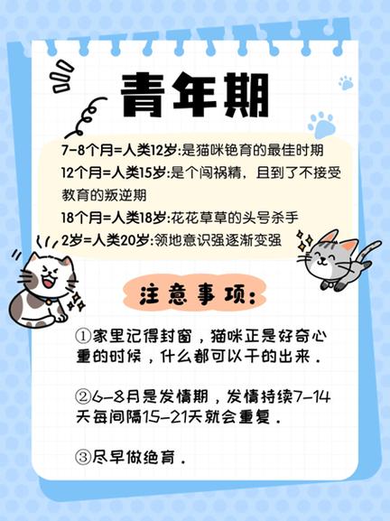 猫咪夏天会发情吗