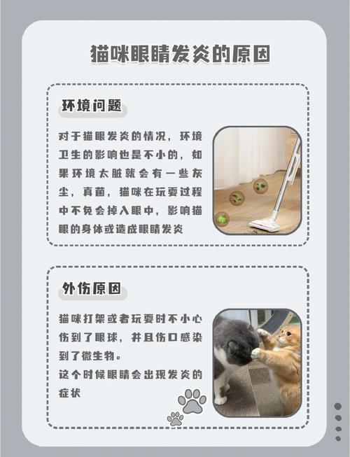 猫眼睛发炎怎么办?
