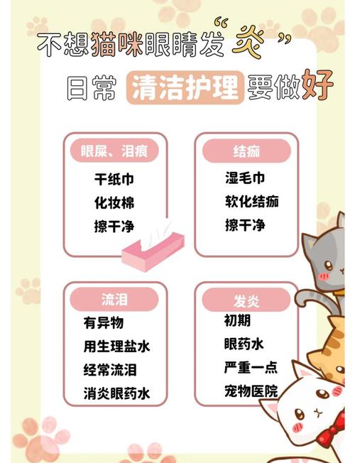 猫眼睛发炎怎么办