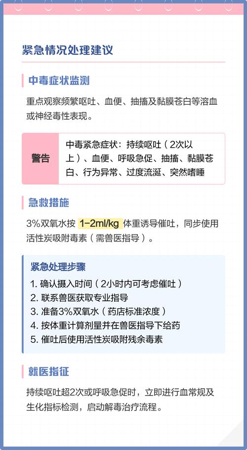 狗能吃茴香饺子吗